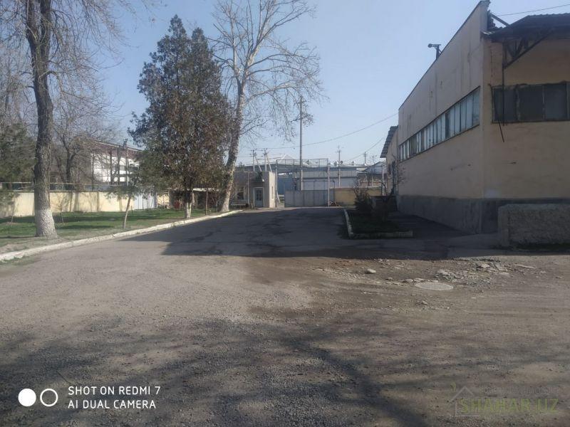 Ташкентская/Ташкент/Сергели  Продажа производство loading=