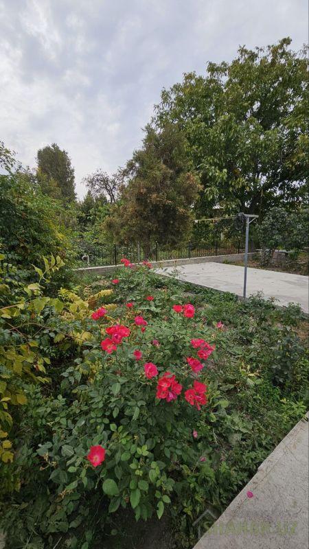 Ташкентская/МСГ Баликчи МСГ Баликчи Продажа дом loading=