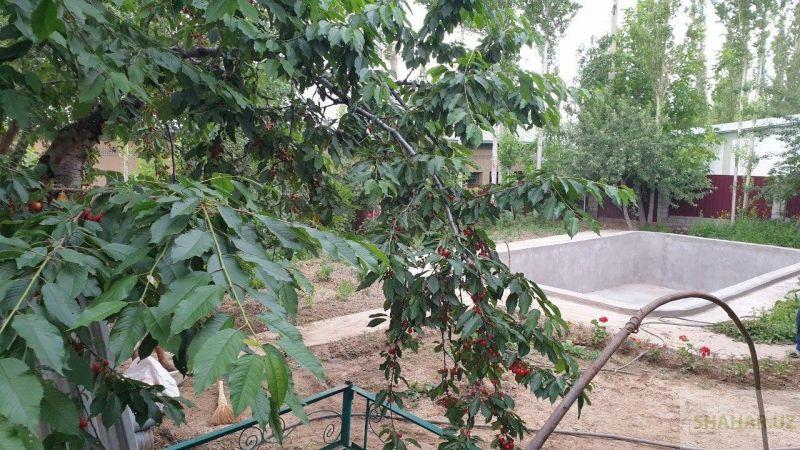 Ташкентская/Дустлик  Аренда дача 