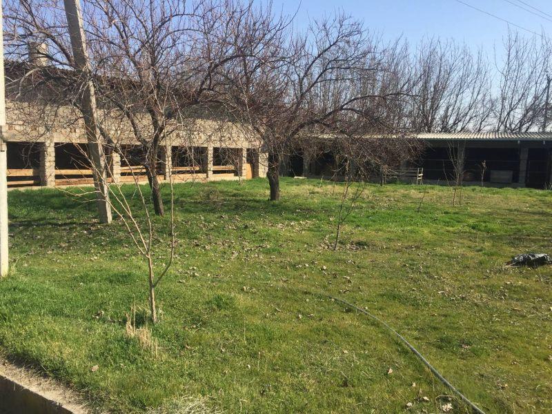Ташкентская/Ташкент/Мирзо-Улугбек/Темур Малик Лимонарий Продажа склад loading=